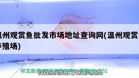 yee牌魚缸官網(wǎng)(yee水族廠家) yee