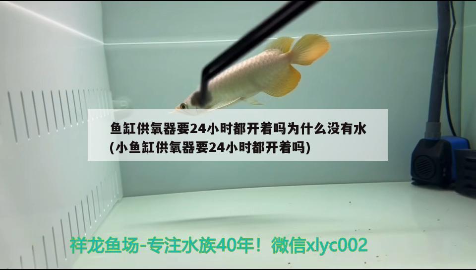 魚缸供氧器要24小時都開著嗎為什么沒有水(小魚缸供氧器要24小時都開著嗎)