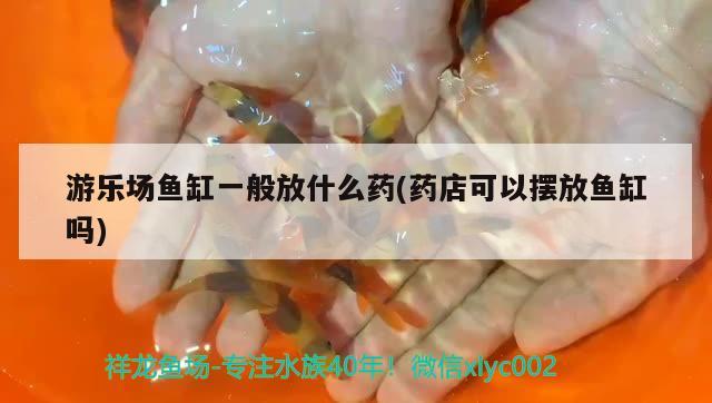 游樂場魚缸一般放什么藥(藥店可以擺放魚缸嗎) 白寫錦鯉魚