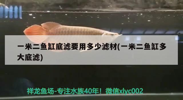 一米二魚缸底濾要用多少濾材(一米二魚缸多大底濾) 銀河星鉆魚 第1張