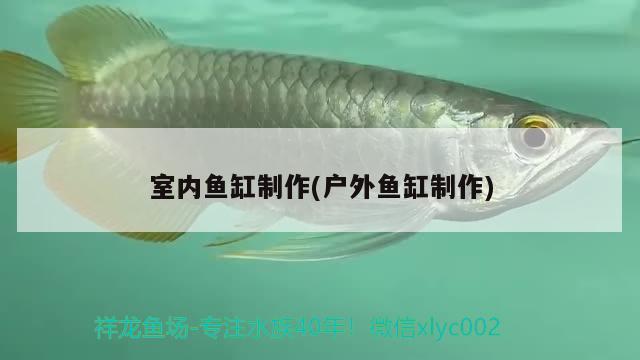 室內(nèi)魚缸制作(戶外魚缸制作) 埃及神仙魚