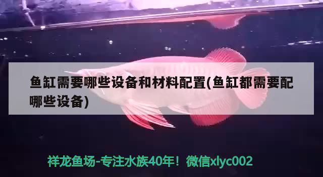 魚缸需要哪些設(shè)備和材料配置(魚缸都需要配哪些設(shè)備) 福虎/異型虎魚/純色虎魚