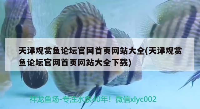 天津觀賞魚論壇官網(wǎng)首頁網(wǎng)站大全(天津觀賞魚論壇官網(wǎng)首頁網(wǎng)站大全下載) 白子銀版魚苗