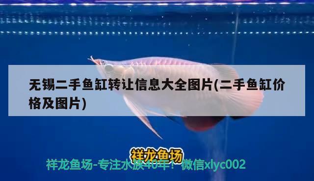 無錫二手魚缸轉讓信息大全圖片(二手魚缸價格及圖片) 狗頭魚