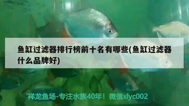 魚缸過濾器排行榜前十名有哪些(魚缸過濾器什么品牌好)