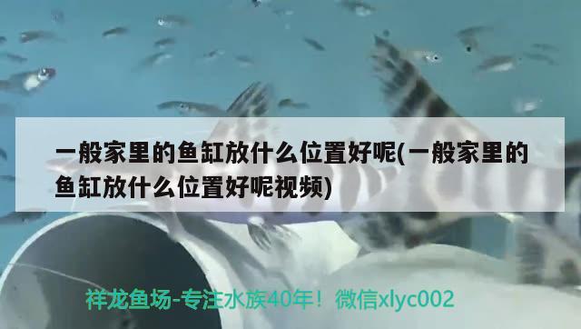 一般家里的魚(yú)缸放什么位置好呢(一般家里的魚(yú)缸放什么位置好呢視頻)