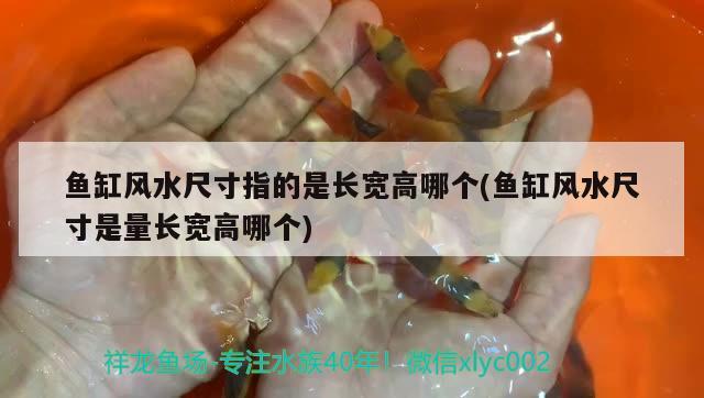 魚缸風(fēng)水尺寸指的是長(zhǎng)寬高哪個(gè)(魚缸風(fēng)水尺寸是量長(zhǎng)寬高哪個(gè)) 魚缸風(fēng)水