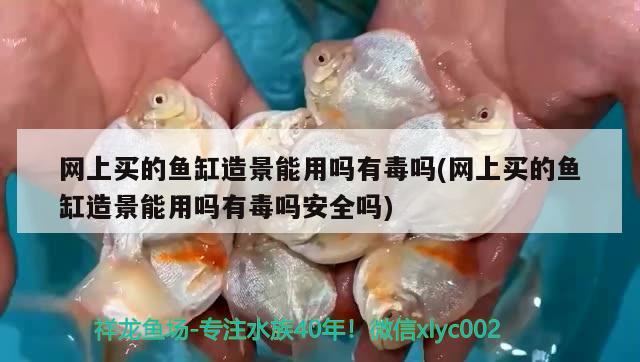 網(wǎng)上買的魚(yú)缸造景能用嗎有毒嗎(網(wǎng)上買的魚(yú)缸造景能用嗎有毒嗎安全嗎) 祥龍水族護(hù)理水