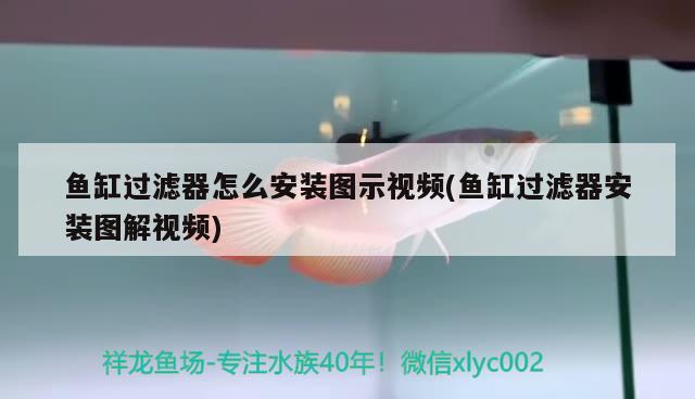 魚缸過濾器怎么安裝圖示視頻(魚缸過濾器安裝圖解視頻) 三色錦鯉魚