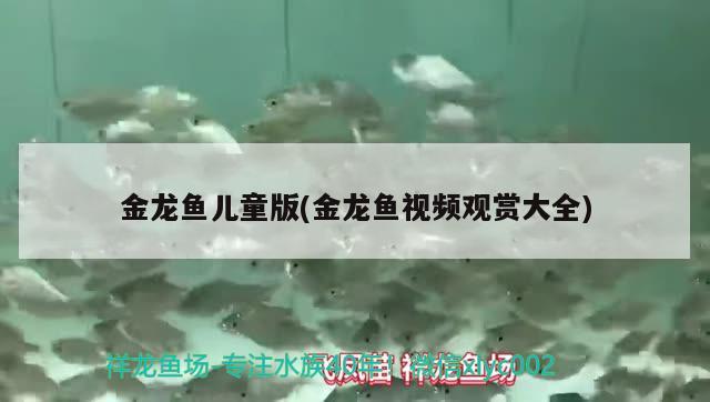 金龍魚兒童版(金龍魚視頻觀賞大全)