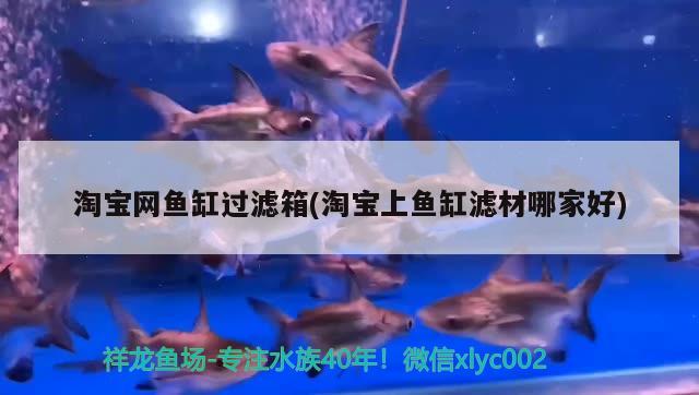 淘寶網(wǎng)魚缸過濾箱(淘寶上魚缸濾材哪家好) 喂食器