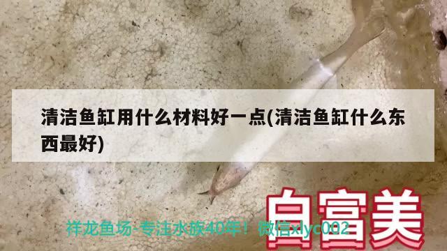 清潔魚缸用什么材料好一點(清潔魚缸什么東西最好) 圖騰金龍魚