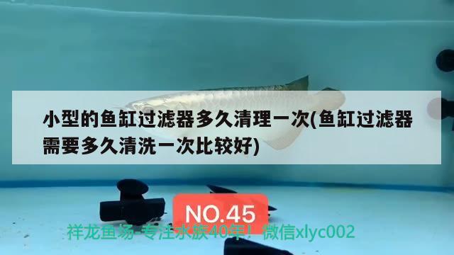 小型的魚缸過濾器多久清理一次(魚缸過濾器需要多久清洗一次比較好) 魟魚百科