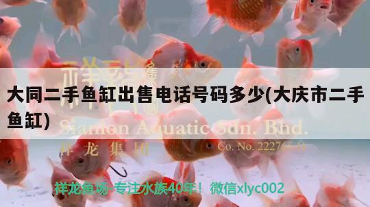 大同二手魚缸出售電話號碼多少(大慶市二手魚缸)