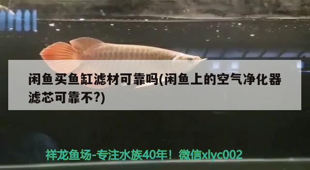 閑魚買魚缸濾材可靠嗎(閑魚上的空氣凈化器濾芯可靠不？) 白子黑帝王魟魚