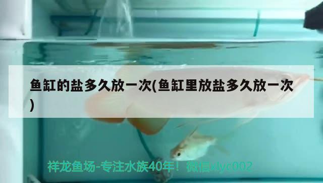 魚缸的鹽多久放一次(魚缸里放鹽多久放一次) 充氧泵