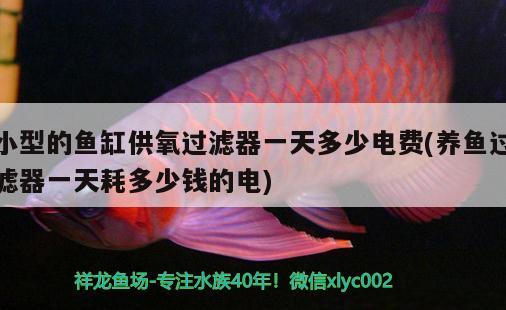 小型的魚缸供氧過(guò)濾器一天多少電費(fèi)(養(yǎng)魚過(guò)濾器一天耗多少錢的電)