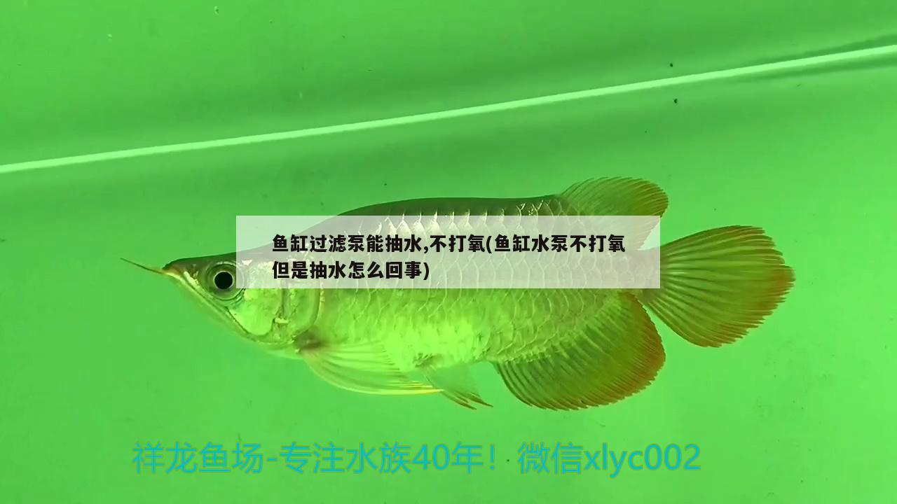 魚缸過濾泵能抽水,不打氧(魚缸水泵不打氧但是抽水怎么回事)