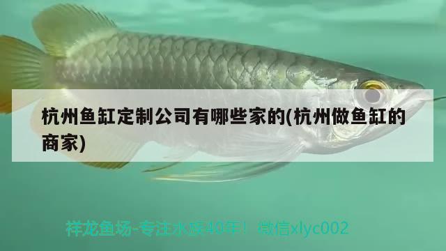 杭州魚缸定制公司有哪些家的(杭州做魚缸的商家) 其他品牌魚缸