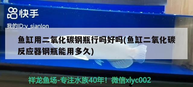 魚缸用二氧化碳鋼瓶行嗎好嗎(魚缸二氧化碳反應器鋼瓶能用多久)