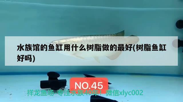 水族館的魚(yú)缸用什么樹(shù)脂做的最好(樹(shù)脂魚(yú)缸好嗎) 檸檬鯽