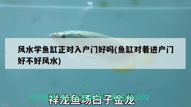 風(fēng)水學(xué)魚缸正對入戶門好嗎(魚缸對著進(jìn)戶門好不好風(fēng)水) 魚缸風(fēng)水