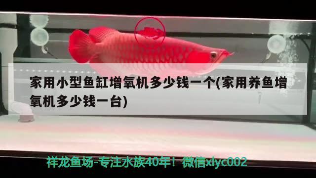 家用小型魚缸增氧機(jī)多少錢一個(家用養(yǎng)魚增氧機(jī)多少錢一臺)