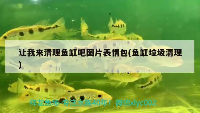 讓我來清理魚缸吧圖片表情包(魚缸垃圾清理) 印尼虎苗