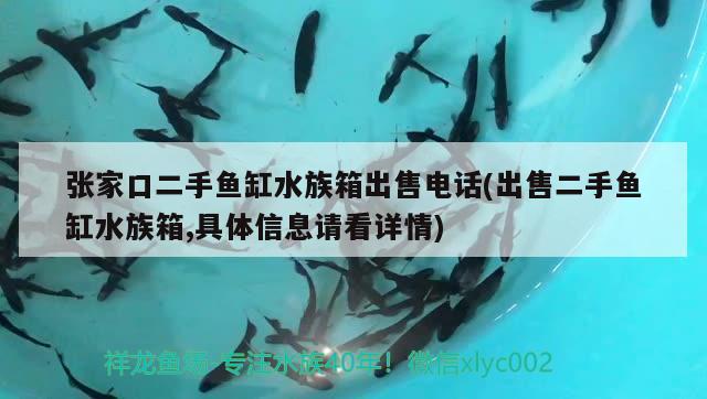 張家口二手魚缸水族箱出售電話(出售二手魚缸水族箱,具體信息請看詳情)