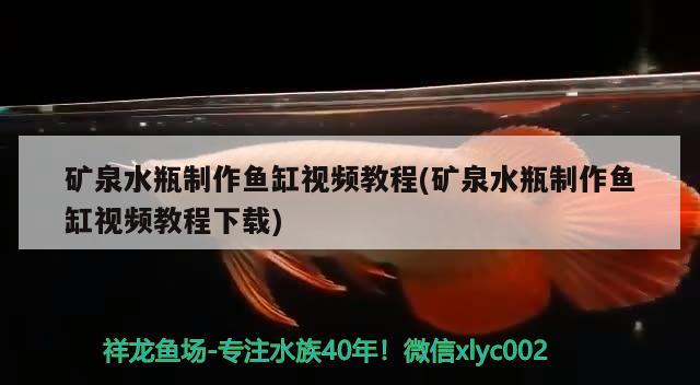 礦泉水瓶制作魚(yú)缸視頻教程(礦泉水瓶制作魚(yú)缸視頻教程下載)