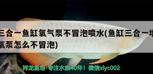 三合一魚缸氧氣泵不冒泡噴水(魚缸三合一增氧泵怎么不冒泡)