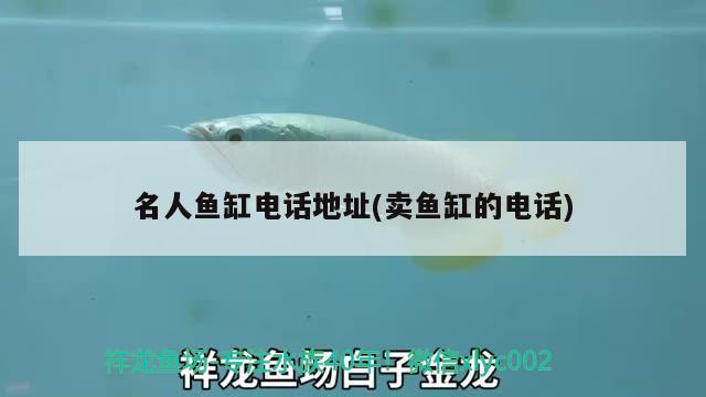 名人魚缸電話地址(賣魚缸的電話) 硝化細(xì)菌