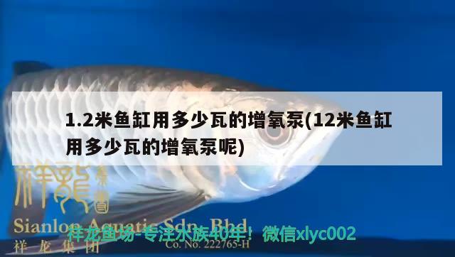 1.2米魚缸用多少瓦的增氧泵(12米魚缸用多少瓦的增氧泵呢) 銀龍魚百科