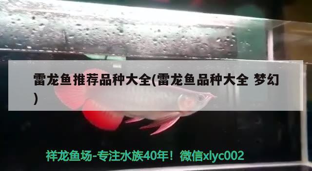 雷龍魚推薦品種大全(雷龍魚品種大全夢幻) 祥龍龍魚專用水族燈