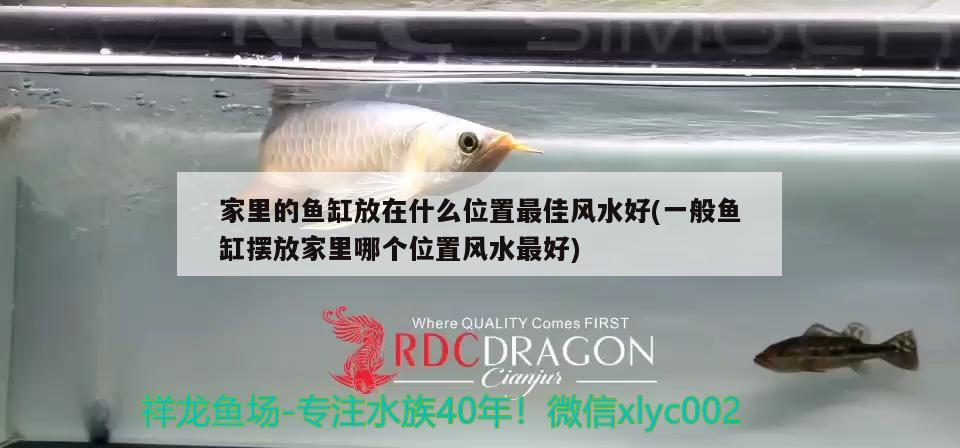 家里的魚缸放在什么位置最佳風(fēng)水好(一般魚缸擺放家里哪個(gè)位置風(fēng)水最好) 魚缸風(fēng)水 第4張