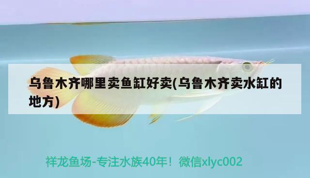 烏魯木齊哪里賣魚缸好賣(烏魯木齊賣水缸的地方) 水族雜談