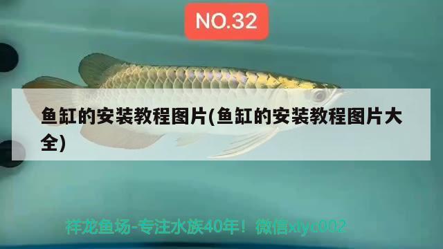 魚(yú)缸的安裝教程圖片(魚(yú)缸的安裝教程圖片大全)