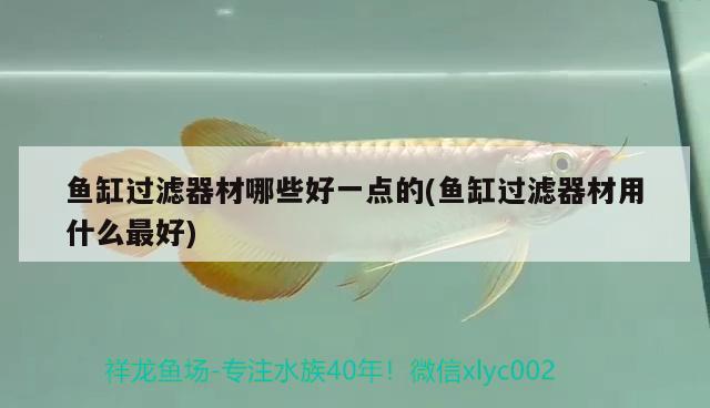 魚缸過濾器材哪些好一點的(魚缸過濾器材用什么最好) 戰(zhàn)車紅龍魚