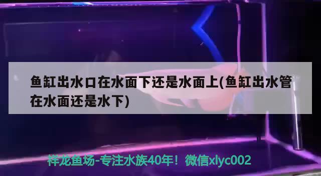 魚缸出水口在水面下還是水面上(魚缸出水管在水面還是水下) 電鰻