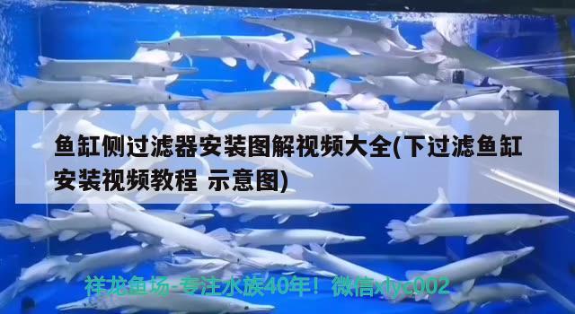 魚(yú)缸側(cè)過(guò)濾器安裝圖解視頻大全(下過(guò)濾魚(yú)缸安裝視頻教程示意圖) 魚(yú)缸水質(zhì)穩(wěn)定劑