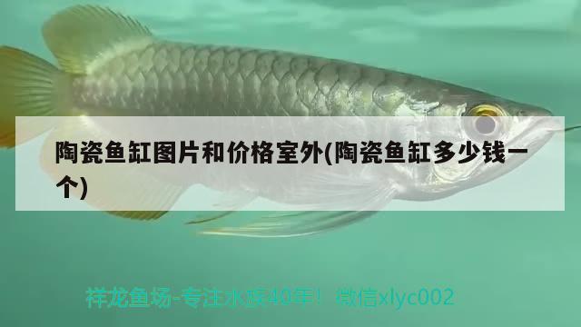 陶瓷魚缸圖片和價(jià)格室外(陶瓷魚缸多少錢一個(gè)) 觀賞魚企業(yè)目錄