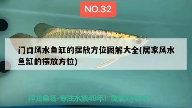 門口風(fēng)水魚缸的擺放方位圖解大全(居家風(fēng)水魚缸的擺放方位) 魚缸風(fēng)水