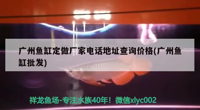 廣州魚缸定做廠家電話地址查詢價格(廣州魚缸批發(fā)) 薩伊藍魚