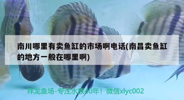 南川哪里有賣魚缸的市場啊電話(南昌賣魚缸的地方一般在哪里啊) 魚缸定做