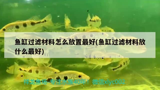 魚缸過濾材料怎么放置最好(魚缸過濾材料放什么最好)