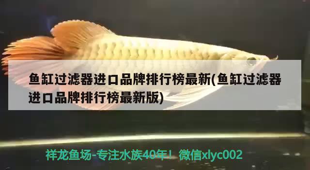 魚缸過濾器進(jìn)口品牌排行榜最新(魚缸過濾器進(jìn)口品牌排行榜最新版) 紅勾銀版魚