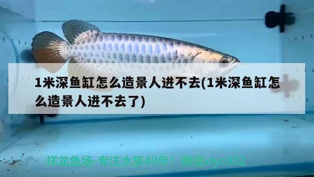 1米深魚(yú)缸怎么造景人進(jìn)不去(1米深魚(yú)缸怎么造景人進(jìn)不去了)