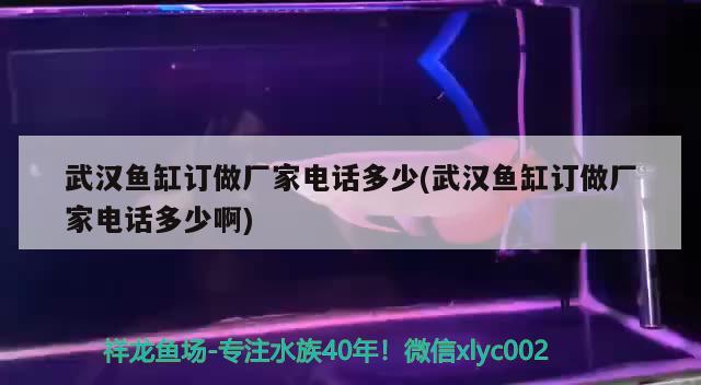 武漢魚缸訂做廠家電話多少(武漢魚缸訂做廠家電話多少啊) 紅老虎魚