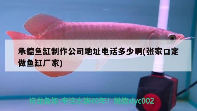 承德魚缸制作公司地址電話多少啊(張家口定做魚缸廠家) 祥龍水族護(hù)理水