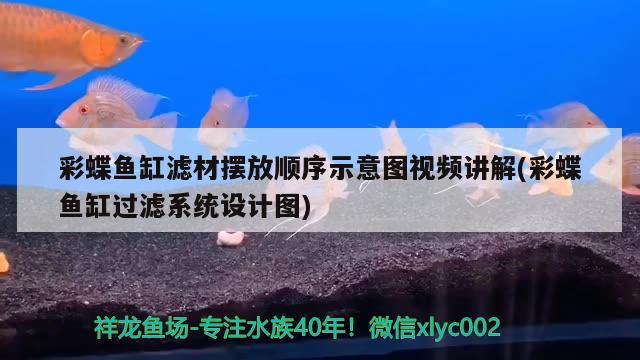 彩蝶魚(yú)缸濾材擺放順序示意圖視頻講解(彩蝶魚(yú)缸過(guò)濾系統(tǒng)設(shè)計(jì)圖) 和尚魚(yú)